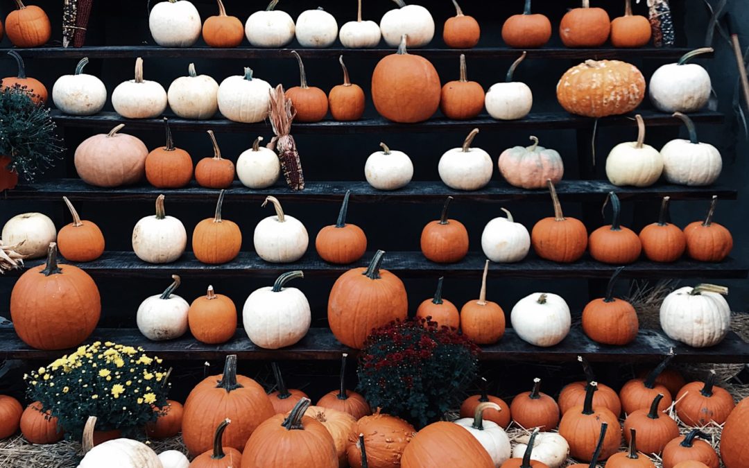 The Lowdown on the Great Autumn Gourd