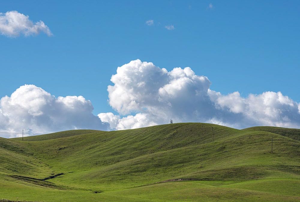 Grassy hillside and blue skies