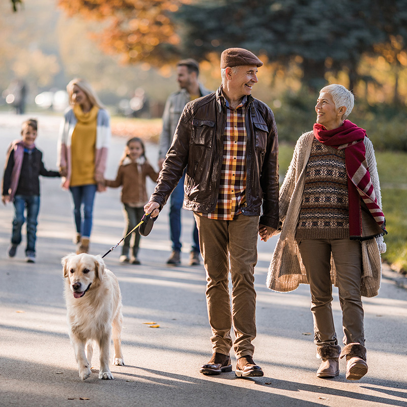 a couple enjoying retirement together walking their dog through the park